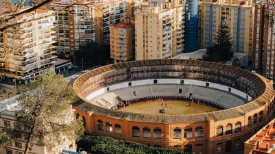 Málaga: Ratten breiten sich aus